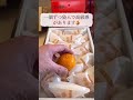 個包装みかん、特別な贈り物に。和歌山の早生みかん