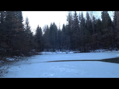 Видео: Риболовля на лісовому озері