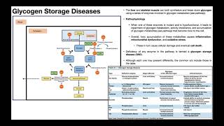 Glycogen Storage Diseases | Pathophysiology & Presentation