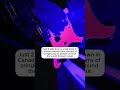 JUST VIBES (Song: FEEL THE MUSIC)