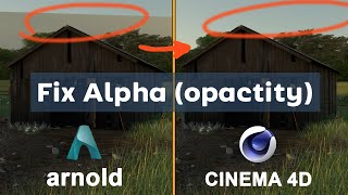 Opacity map (alpha map)  - Arnold C4D Quick Tips