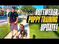 WHAT HAPPENS WHEN YOU DON'T REINFORCE TRAINING! Rottweiler Puppy Training Update!