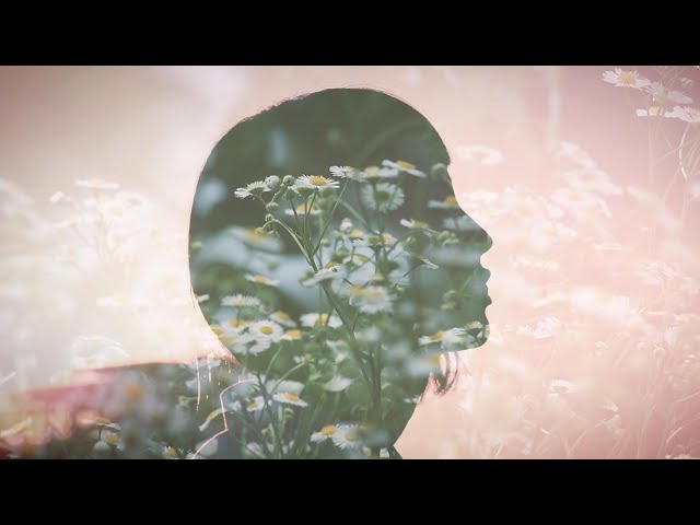 さちかぜあきの / うららか 【MV】 - YouTube