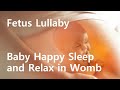 Music for pregnant women and Fetus in Wombs Meditation music for safe birth Mom