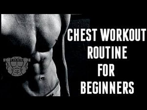 Best Workout Chart For Beginners