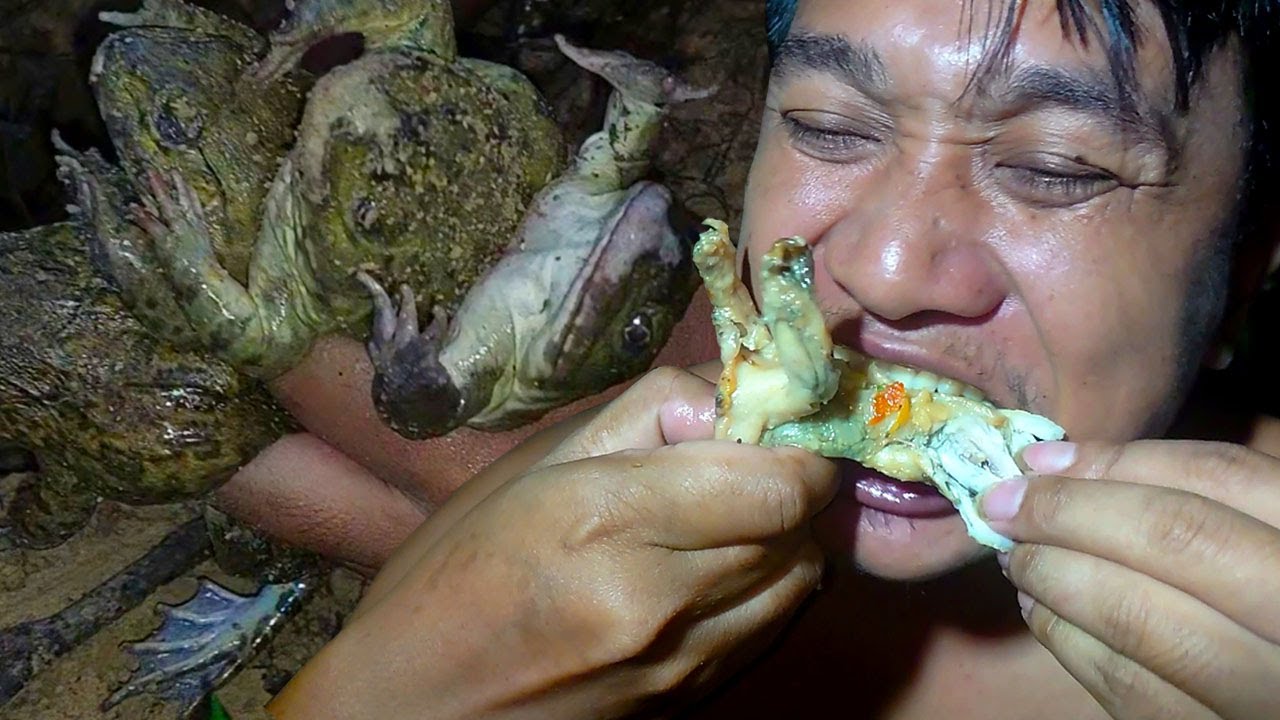 Catch A Lot Of Frogs After Rain To Cook At Night For Dinner - YouTube