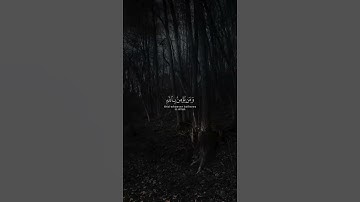 قرآن كريم تلاوة خاشعة من سورة التغابن القارئ #حالات_واتس  #القرآن  #القرآن