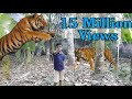 PULIMURUGAN Short Film Vfx | Vfx Stunts