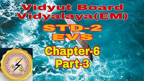 922. Std-2, EVS, chapter-6, Part-3,Vidyut Board Vidyalaya | BHAGYESH THAKKAR