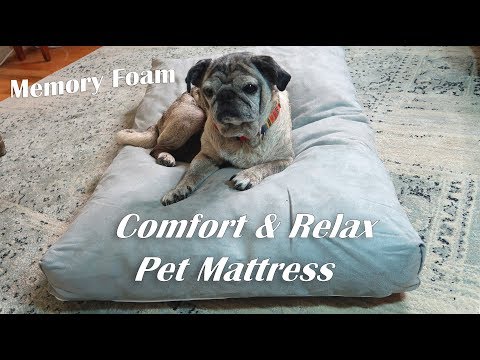 memory-foam-pet-mattress-🍀comfort-&-relax-(cr)-pet-bed-review-👈