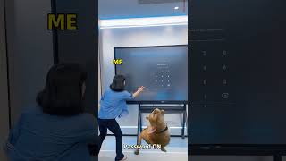 Lock. Laugh. Repeat — Screen Lock on PRIMA Interactive Flat Panel #interactivedisplays #flatpanel