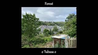 Foreboding Song Forest