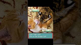 Level 12 Cute Tiger challenged an Orange cat in pokemon! #pokemon #irlpokemon