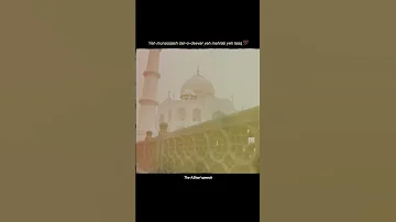ذاکر علی عباس 