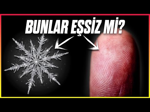 Kaotik Yapılar: Kar Taneleri ve Parmak İzleri Eşsiz mi?