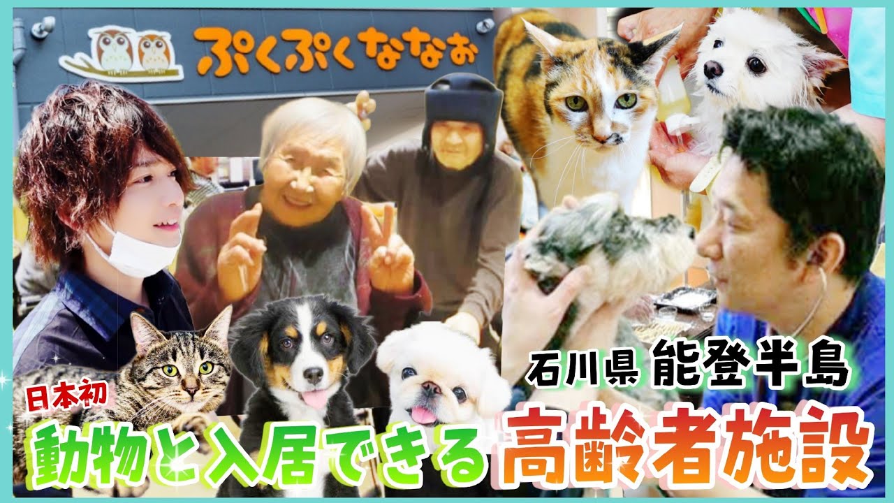 能登半島地震で被害を受けたペットと暮らせる高齢者施設の今・・・