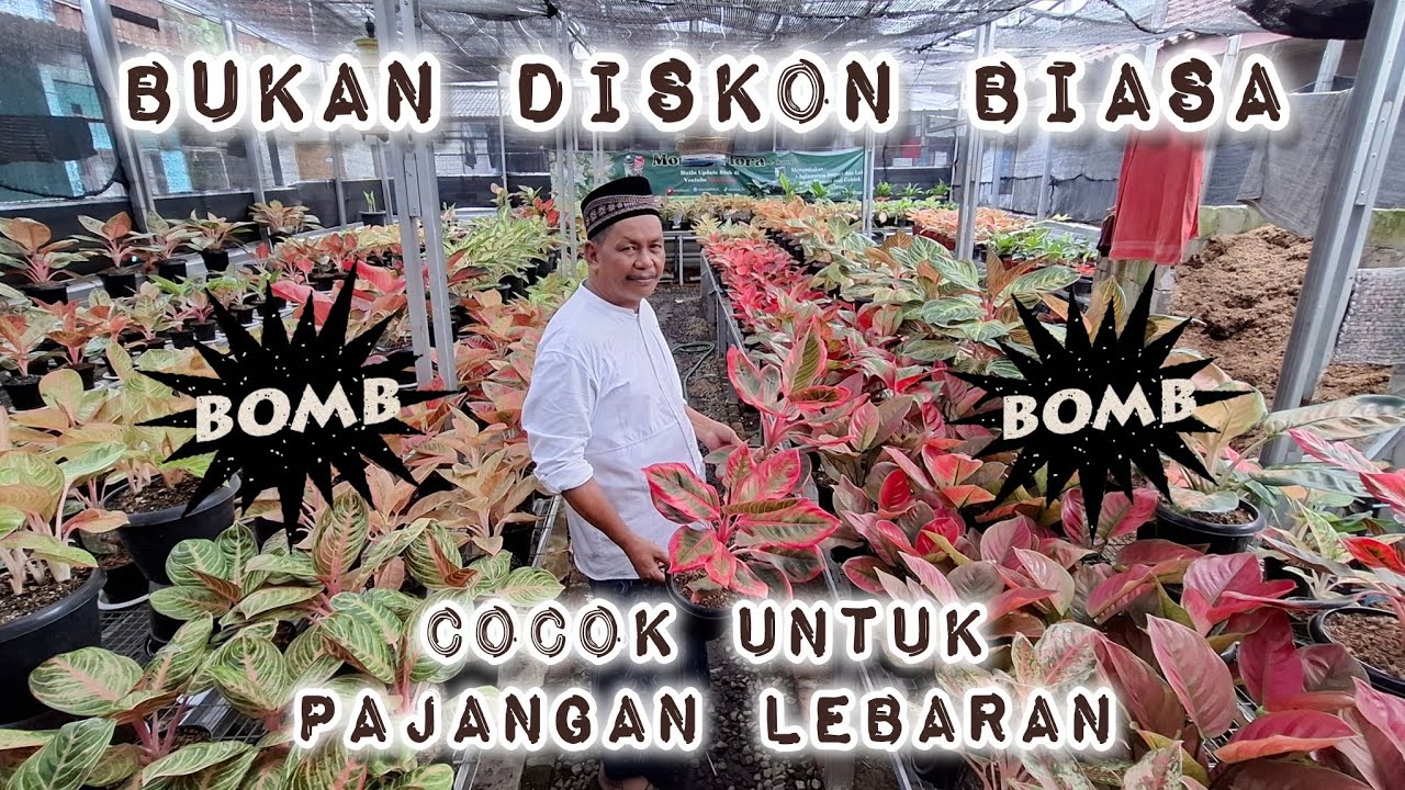 SERBA EKONOMIS !! SIAP PAJANG !! REBUTAN