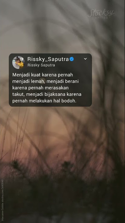 STORT WA BIJAK LAGU SEDIH | TUM HI HO (backsound Quotes)