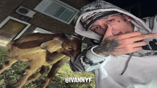 Salastkbron🐐 ¨Si quiero soy el mas pegado¨