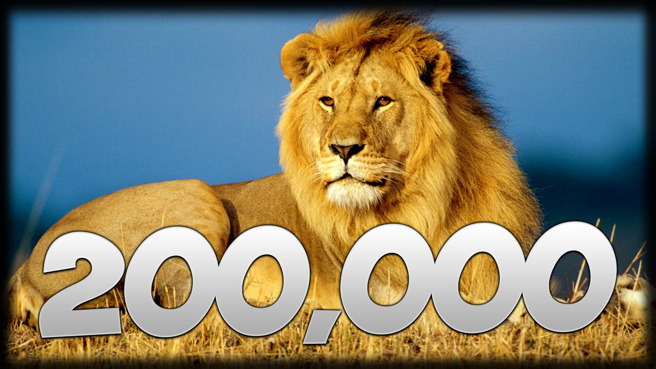 200,000 Subscribers - Channel Update - YouTube