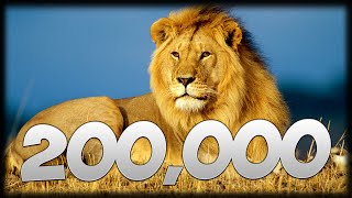 Details 200,000 Subscribers - Channel Update News