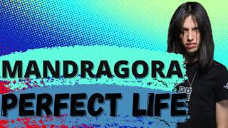 Mandragora - Perfect Life (Hi-Tech 2021)