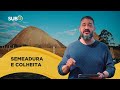 [SUB12] SEMEADURA E COLHEITA - Luciano Subirá