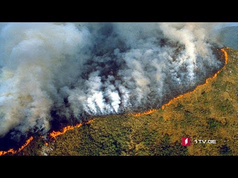 კვლავ უმძიმესია ვითარება ამაზონის ტროპიკულ ტყეში