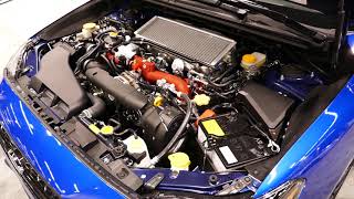 New 2019 Subaru WRX STI Limited - Engine Bay Tour - 2.5L Turbo Boxer Engine