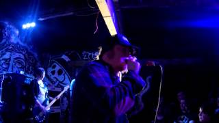 Mr Shiraz Album Launch Clip