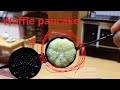 Miniature Cooking#34 Waffle pancake☆미니어쳐 와플 팬케이크 요리 How to Make Miniature Waffle pancake