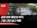 "기업 규모보다 역량"...공공 SW 사업 대기업 제한 풀리나 / 머니투데이방송 (뉴스)