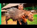 EXTREME BALI!!! RARE Sacred Animal Meal in Bali, Indonesia!!! (Once every ten years)