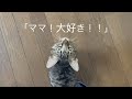 ふくちゃんの全身愛情表現が尊すぎた・・・