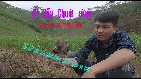 Đi bẫy chuột rừng-Đặc sản chuột núi-Lên rừng kiếm đặc sản núi rừng miền bắc-Catch the mouse-Nờ TV