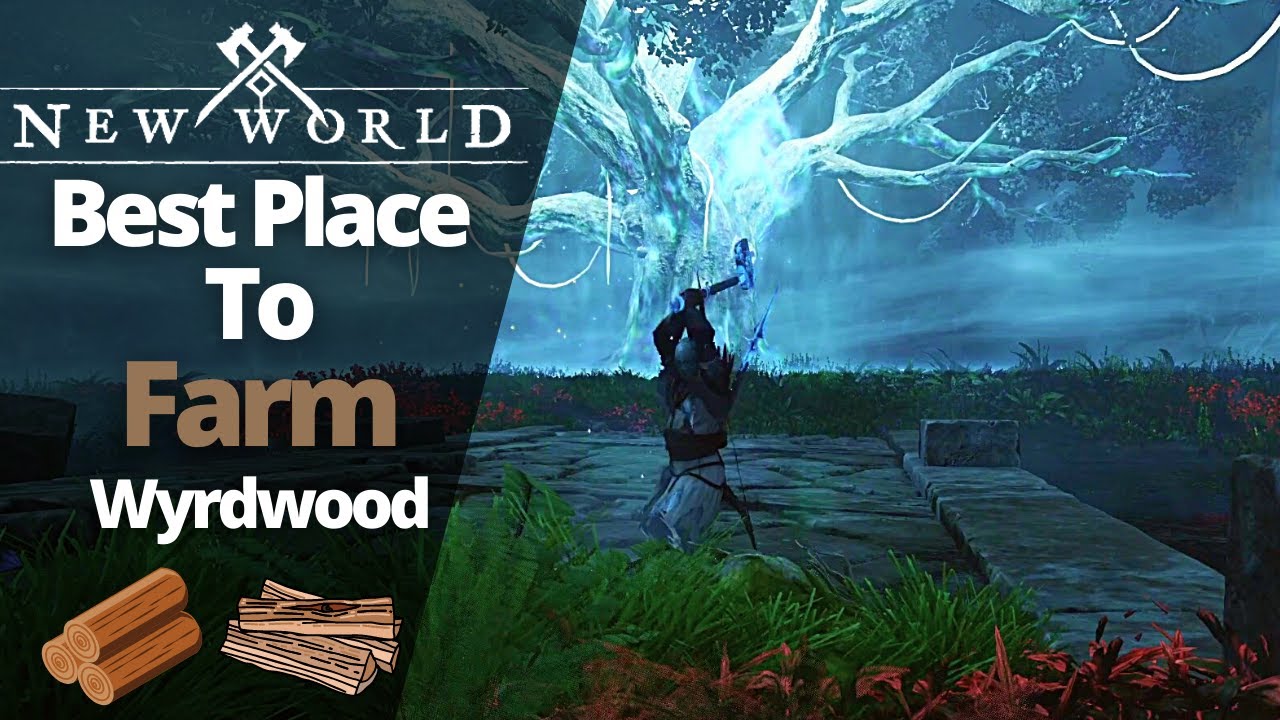 Best Place To Farm WyrdWood In New World - YouTube