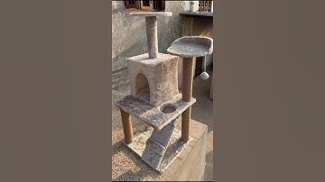 Big Size Cat House 🐈 #shorts #devkefact