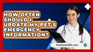 How Often Should I Update My Pet