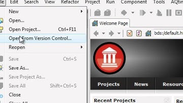 Subversion Integration in AppMethod and RAD Studio Part 2 - Checking out from a remote repository