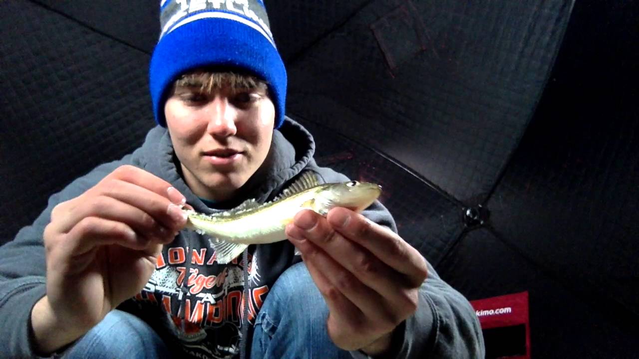 Walleye Fishing: An Unsuccessful Day...Every Man Can Relate - YouTube