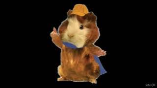 Linny the Guinea Pig