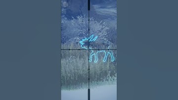 SAME Place, ANOTHER  Diamond💎!😲😲Moose Grind on Medved-Taiga | theHunter: Call of the Wild #shorts