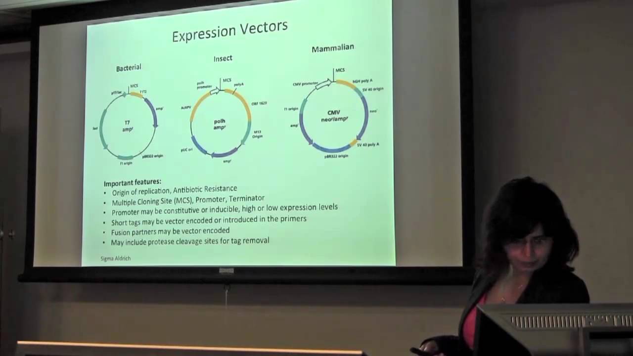 How to Purify Recombinant Proteins: Methods and Techniques