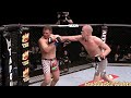 Stefan struve vs stipe miocic highlights impressive fight  tko ufc mma kickboxing punch