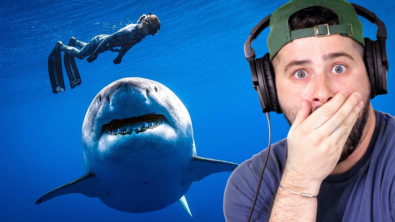 Reacting To The Luckiest People Ever!