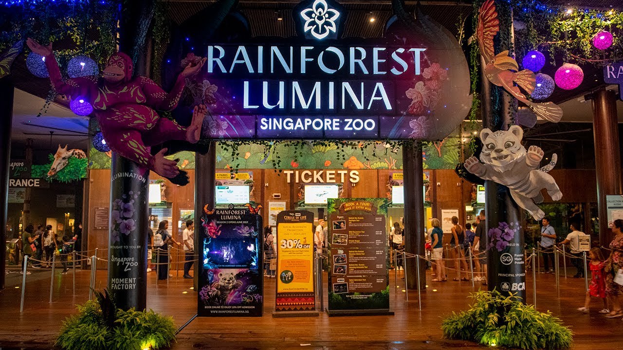 singapore night zoo tours