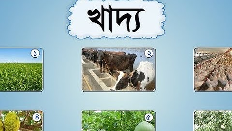 Class Four Science Pat- 4// চতুর্থ শ্রেণি সাধারণ বিজ্ঞান অধ্যায়-4