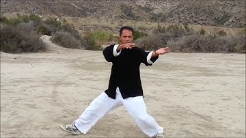 Chen Style Tai Chi - Old Frame Routine - Dao Lu 2
