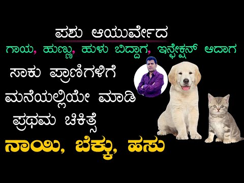 ನಾಯಿ, ಬೆಕ್ಕು, ಹಸು ಗಳಿಗೆ ಹುಳು, ಗಾಯ ಆದಾಗ ಮನೆಯಲ್ಲೆಯೇ ಮಾಡಿ ಚಿಕಿತ್ಸೆ | first aid treatment for animals