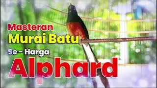 MASTERAN MURAI SEHARGA ALPHARD #muraibatu #kicaumania